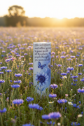 Like Wildflowers tumbler in a wildflower meadow at golden hour