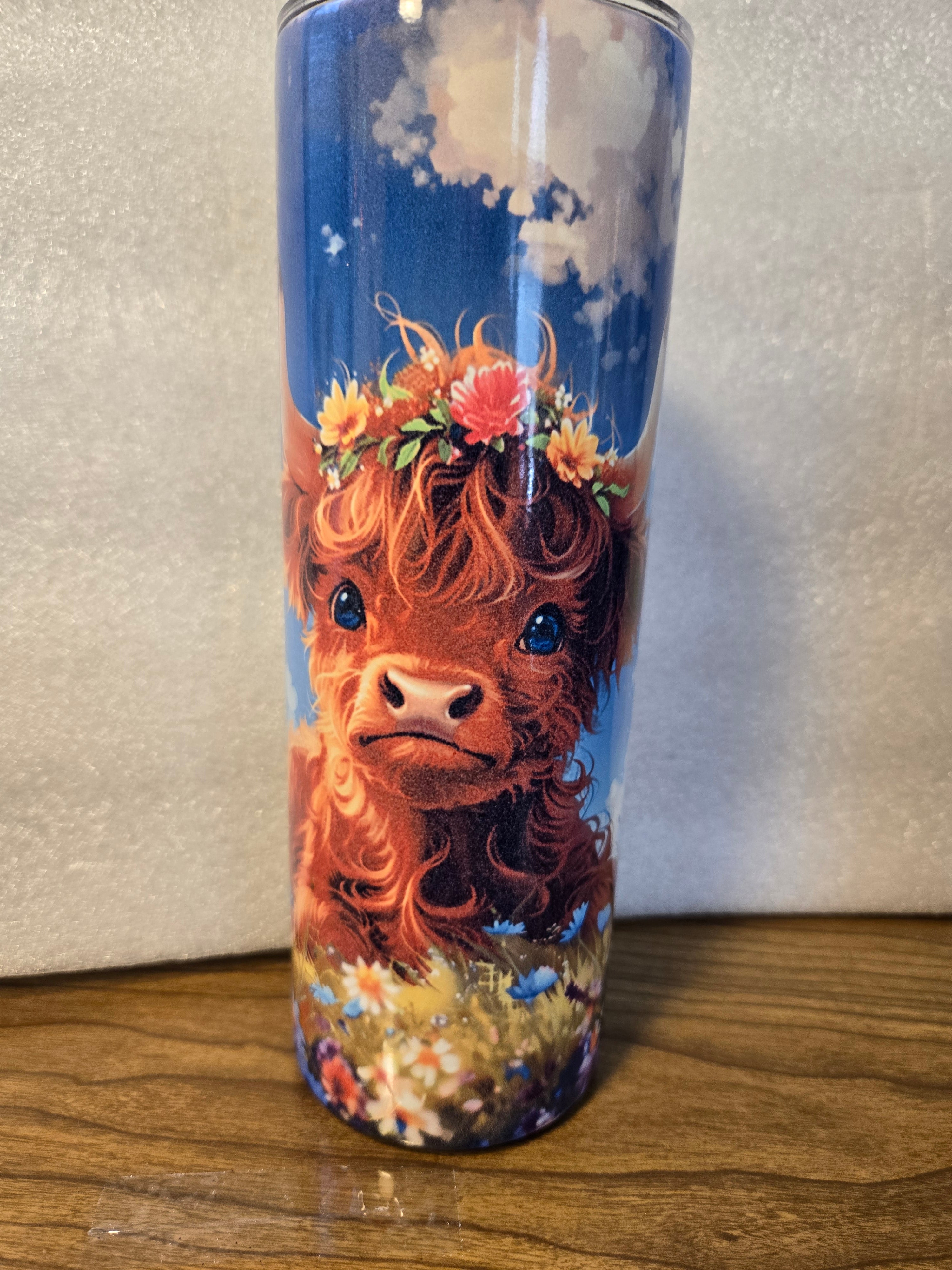 Highland Cow